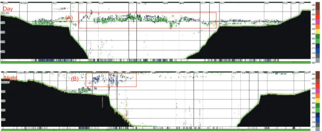 Fig. 5. The vertical distribution of euphausiids Euphausia pacifica at (A) daytime and (B) nighttime in May