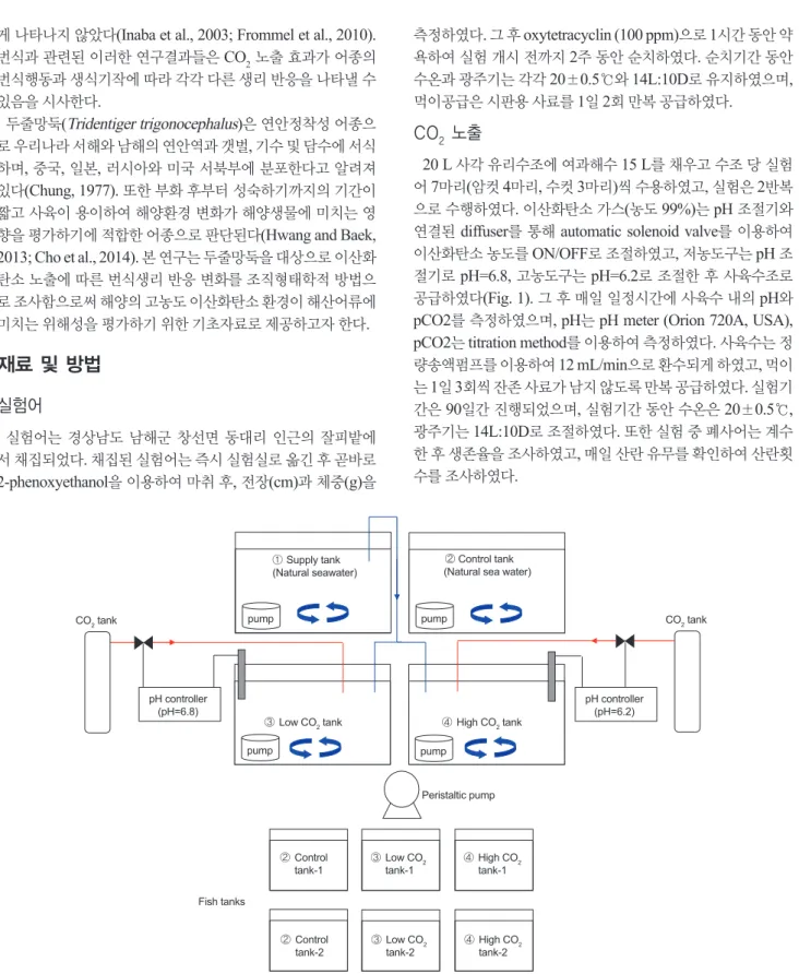 Fig. 1. Schematic diagram of CO 2 -exposure experiment for chameleon goby Tridentiger trigonocephalus