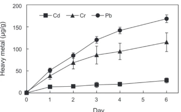 Fig. 1. Accumulation of heavy metals in sea lettuce Enteromorpha  sp. during incubation in seawater including Cd, Cr, and Pb