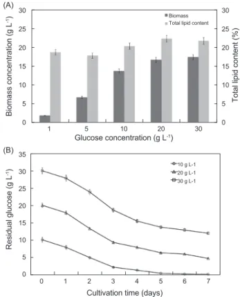 Fig. 4. Effect of glucose concentrations. (A) Effect of glucose  concentration on biomass and total lipid content (B) time-course  profiles of glucose consumption under various initial glucose  con-centrations.