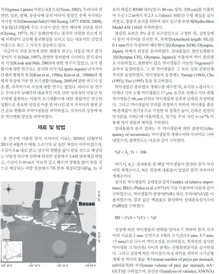 Fig. 1. Location of the sampling area in the Nakdong River estu- estu-ary, Korea.