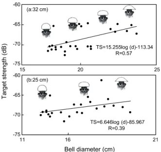 Fig. 7. Relationship between TS and bell diameter of jellyfish. Hirose et al. (2005)는 우산의 박동에 따른 해파리의 TS가  우산의 면적에 비례한다고 생각하고 TS의 변동폭 ∆TS를 식  (3)과 같이 나타내었다