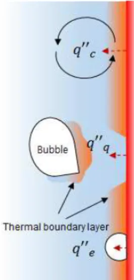 Fig.  1  Conceptual  descriptions  of  heat  flux  partitioning  model  proposed  by  Kurul  and  Podowski (4) 음과 같은 과도열전도에 의한 열전달을 일으킨다