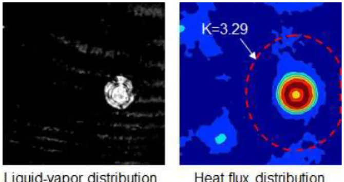 Fig.  11  Liquid-vapor  phase  and  heat  flux  distribution  underneath  a  growing  boiling  bubble