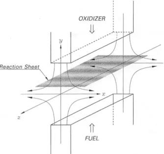 Fig.  1  Schematic  diagram  of  the  two  dimensional  counterflow  diffusion  flame