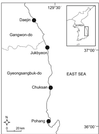 Fig. 1. A map showing the study area on the East Coast  of Korea. 재료 및 방법 조사지 해역의 현황 동해안의 대진 (37°20′58.12″N, 129°15′39.33″E),  죽변  (37°03′22.69″N, 129°25′47.58″E),  축산 (36°30′30.11″ N, 129°27′12.26″E)  그리고 포항 (36°04′24.37″N, 129°2 5′04.66″E)  지역의 조간대와 조하대 