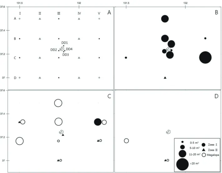 Fig. 1. Sampling stations and larval occurrence of Chinoecetes japonicus near Dokdo in the East  Sea of Korea in 2011