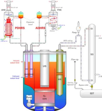 Fig. 3 Schematic of the SELFA sodium test loop 
