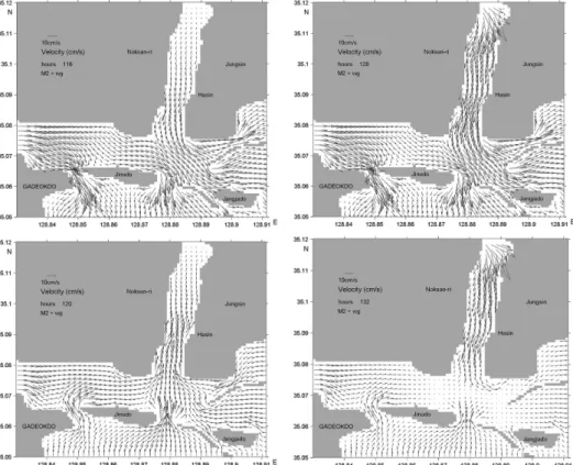 Fig. 7. Velocities (a) at M2 tide only, (b) in M2 tide with river discharge. Upper ones show flow fields 5 hours after high tides, and lower  ones at 3 hours after low tides.