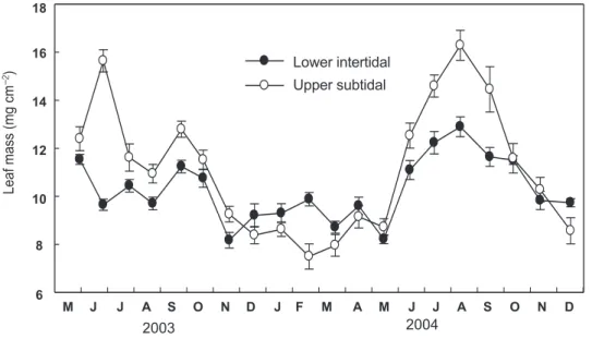 Fig. 6. Area normalized leaf mass and leaf C content in lower intertidal (a) and upper subtidal (b) in Seomjin Estuary on the south  coast of the Korean peninsula from May 2003 to December 2004