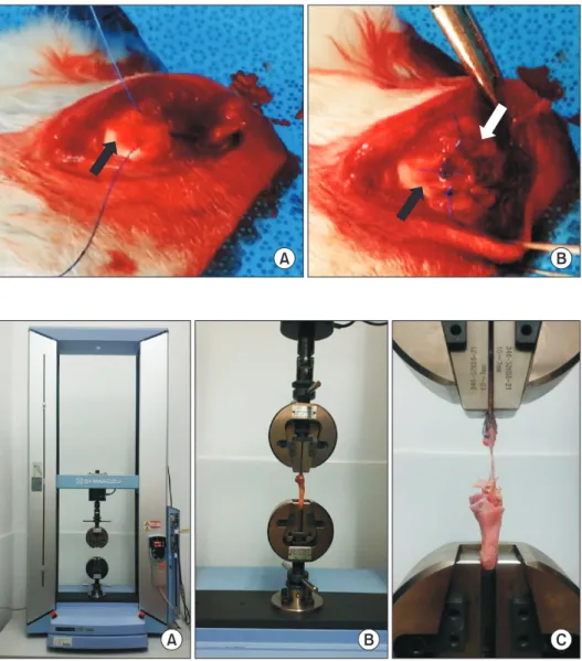 Fig. 4. (A) AGS-X materials testing  machine (Shimadzu, Japan). (B) Fixture  clamping system