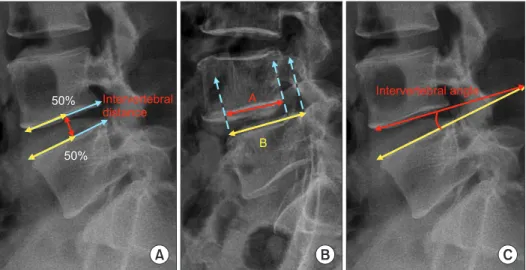 Fig. 1. Measurement of radiological data. 
