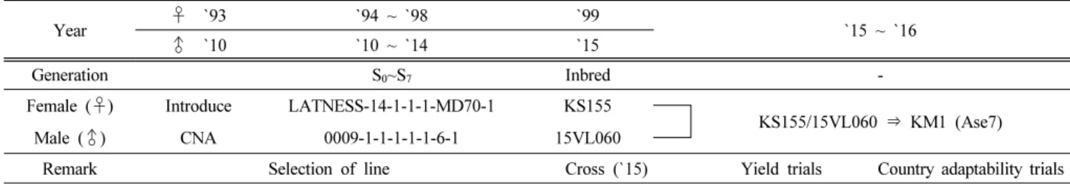 Fig. 1. Breeding procedure of ‘KM1’.