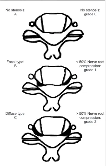 Fig. 1. Lee’s classification system. 10)