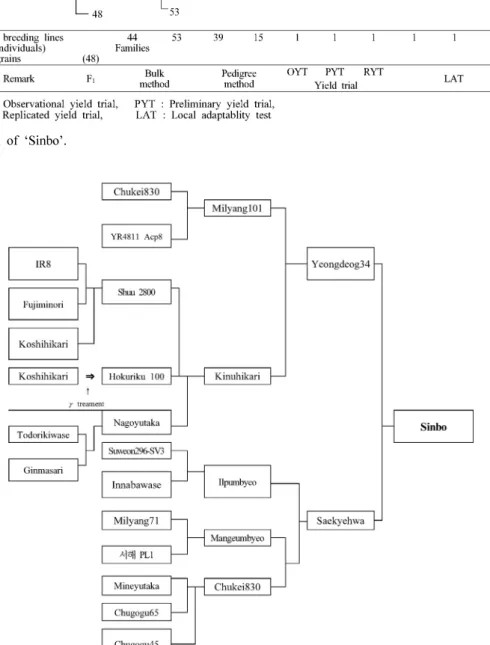 Fig. 1. Pedigree diagram of ‘Sinbo’.