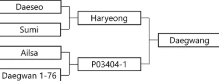 Fig. 1. Pedigree of ‘Daegwang’.