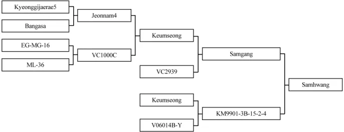 Fig. 1.   Pedigree  diagram  of  a  mungbean  cultivar  ‘Samhwang’.