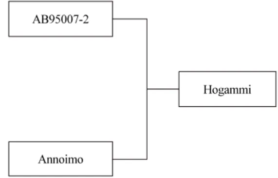 Fig. 1.   Genealogical  diagram  of  ‘Hogammi’.