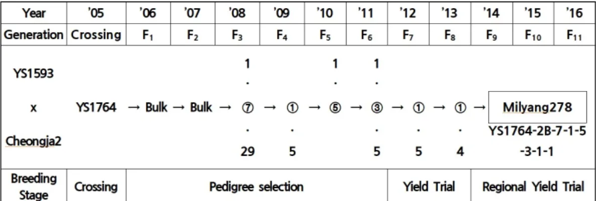 Fig. 1.   Pedigree  diagram  of  ‘Taecheong’. 되어 왔다.  따라서 두부,  장류,  콩나물 등 가공식품의 원료곡 형태로 소비되고 있는 일반콩과는 달리 종실 자체를 소비하기 때문에 종실 외관 특성이 중요한 구매 요인으로 작용하고 있다(Kim  et  al