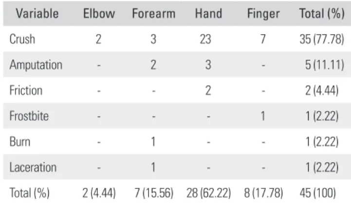 Table 2. Causes of Injury in Lower Extremity Reconstruction Group