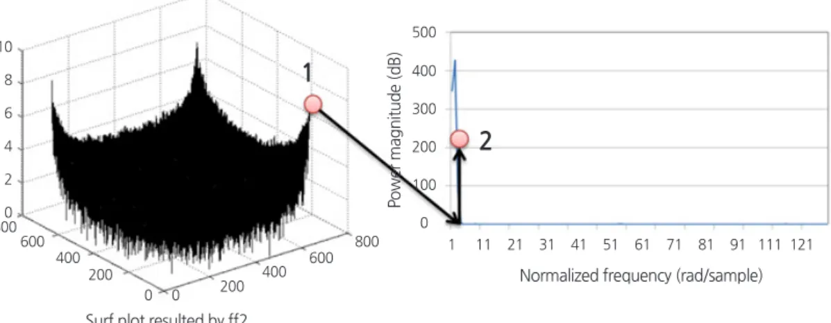 Fig. 6. Illustration of the image processing procedure for enhancing seed frequency. White spots replaced strawberry seeds  corresponding to location on and size of the fruit (A); background removal including non-seed area on strawberry surface (B); 