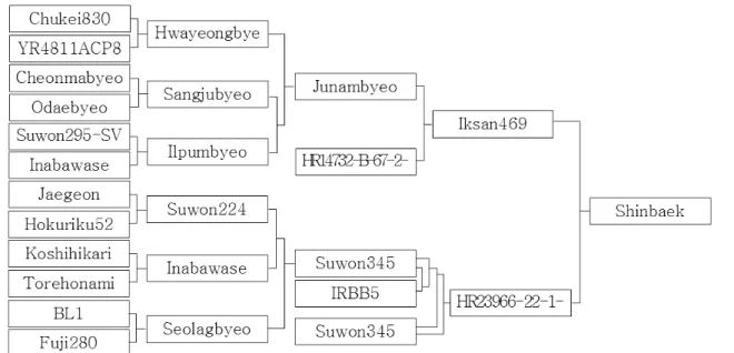 Table 1. Major agronomic traits and yield components of ‘Shinbaek’. (LAT: ’08～’10)