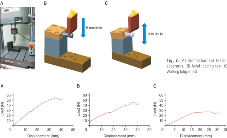 Fig. 2. (A) Biomechanical testing  apparatus. (B) Axial loading test. (C)  Walking fatigue test