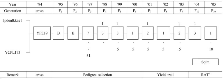 Fig. 2. Pedigree diagram of ‘Soim’.