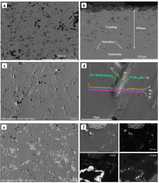 Fig. 3 BSE images of (a) top and (b) cross-sectional surfaces of BAC1, and SEM images of top surfaces of (c-d) BAC2  and (e) BAC3 with (f) EDS mapping analysis
