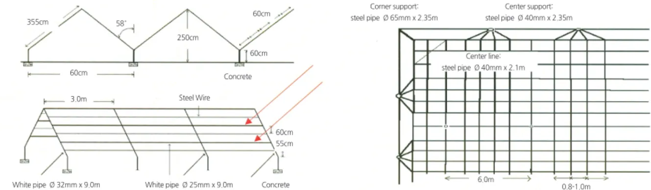 Fig. 2. General structural design of tree trellis systems for Y and Y-II-shaped trellis types (left), and pergola- and vase-pergola- vase-pergola-shaped trellis types (right) used to train ‘Manpungbae’ pear trees
