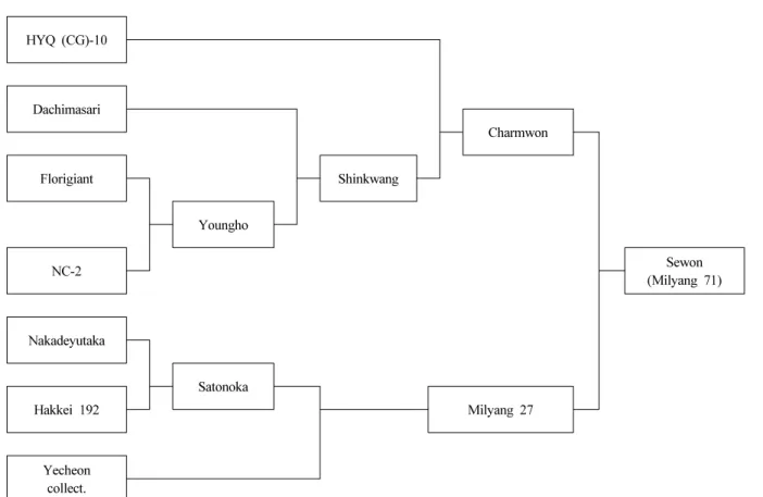 Fig. 2.   Genealogical  diagram  of  ‘Sewon’.