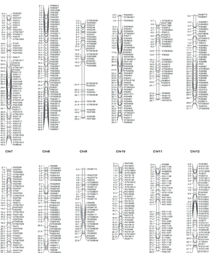 Fig. 2. The physical map constructed using MGRIL population.