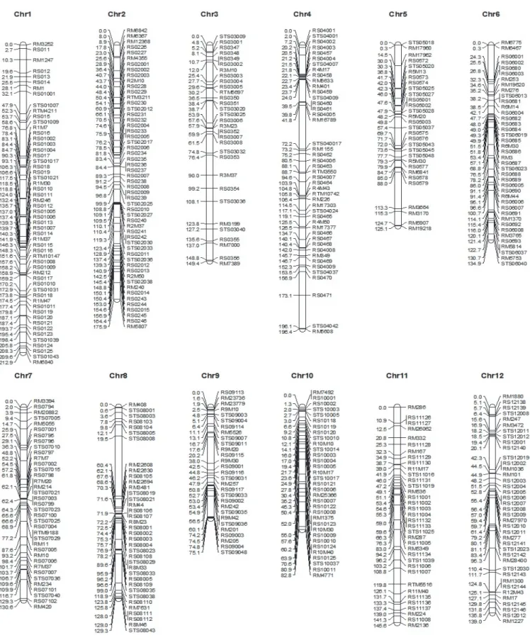 Fig. 3. The genetic map constructed using MGRIL population.