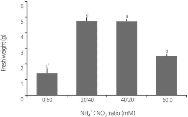 Fig. 7. Effect of NH 4 +  and NO 3 -  ratio on prothallus of  Dryopteris nipponensis Koidz
