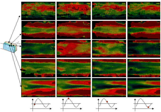 Fig. 5 Obtained velocity maps during the cycle of pulsatile flow using 1K*1K camera대한기계학회 2003년도 추계학술대회 논문집