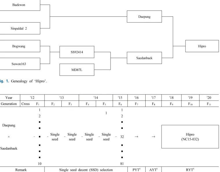 Fig. 2.   Pedigree  diagram  of  ‘Hipro’.
