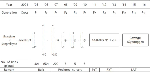 Fig. 2.   Genealogical  diagram  of  ‘Gawagi1’.