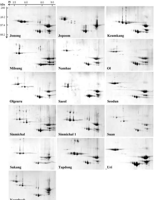Fig. 3. Continued.