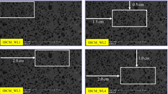 Fig.  5  Selection  of  local  image  for  computational  modeling