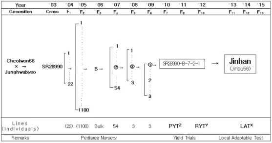 Fig. 2.   Genealogical  diagram  of  ‘Jinhan’.