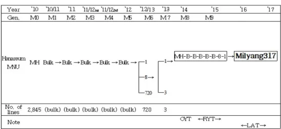 Fig. 2.   Genealogical  diagram  of  ‘Shingil’.