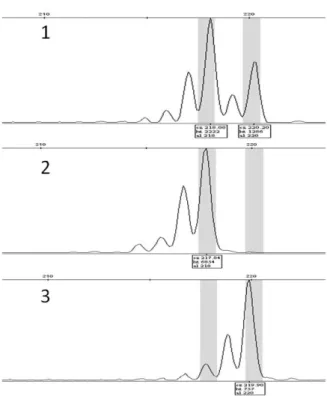 Table 2. SSR markers screened for identifying peach varieties and polymorphism of amplified SSR markers.