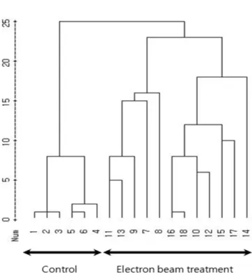 Fig. 4. Dendrogram illustrating genetic relationships among electron beam treatment protocorm of Cymbidium  spp