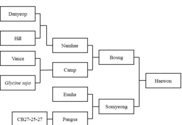 Fig. 1.  Genealogical  diagram  of  'Haewon'.