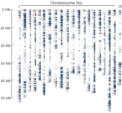 Fig. 1. Total InDels in cultivated soybean genomes. Red arrows represent 202 InDels.