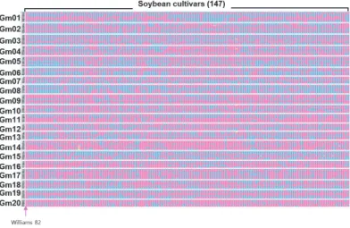 Fig. 2. Comparison of dVB types between whole genome and InDel polymorphism in ‘Daepung’