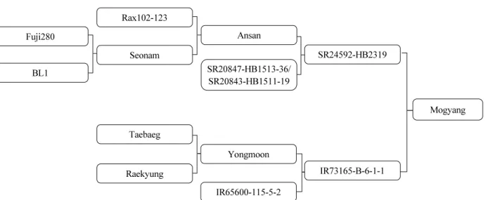 Fig. 2. Genealogical diagram of ‘Mogyang’.