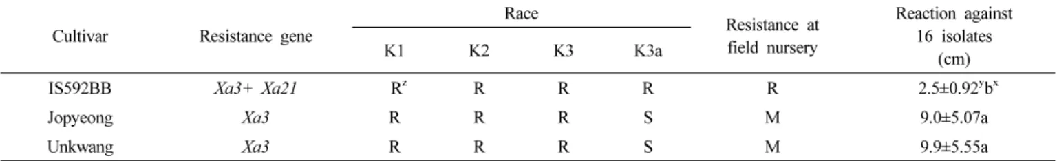 Fig. 4.   Resistance  reaction  of  ‘IS592BB’  against  bacterial  blight  races K1 (HB1013 isolate), K2 (HB1014), K3 (HB1015), and K3a  (HB1009)  (A),  16  Xanthomonas  oryzae  pv