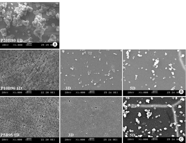 Fig. 2. In vitro results using simulated body fluid (SBF). Formation of the hydroxycarbonate apatite layer after soaking in SBF was observed in 1 day in  the P20B80 group (A), in 3 days in the P10B90 group (B), and in 5 days in the P5B95 group (C).