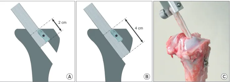 Table 1 summarizes graft slippage, total graft move- move-ment, and ultimate tensile strength in the two  experimen-tal groups